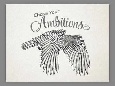 Eagle drawing! branding classic crosshatching custom custom type design drawing engraving etching hand drawn illustration line work lineart logo logo design traditional vector vintage vintage design woodcut