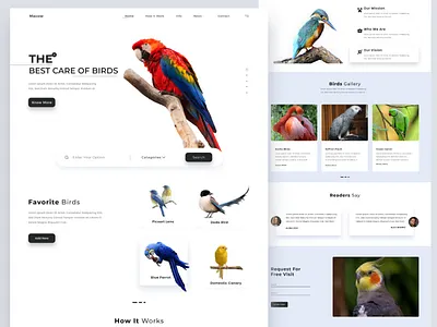 birds care landing page animal beast bird care clean design inscet landing landing page minimal ui ui website template ux web website