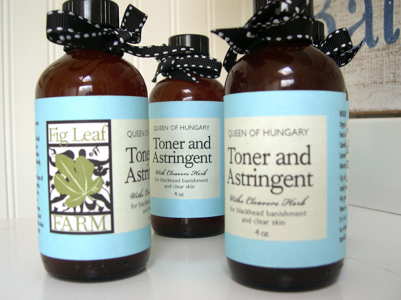 Fig Leaf Farm Herbal Skin Care by Alana Jelinek on Dribbble