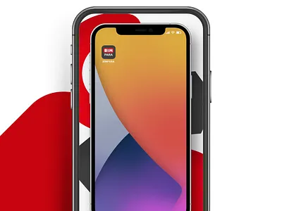 Bim Para App Promo animation apppromo bim bimpara design erdem ozkan i̇nstagram story mobile app motion graphics