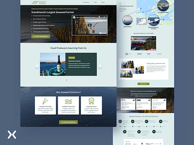 Seaweed Solutions | Lead Generation Landing Page branding design dribbble shot la landing page design landingpage lead generation leads