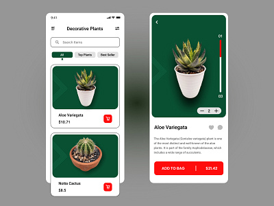Decoration Plants clean ui design graphic design plants typography ui ux