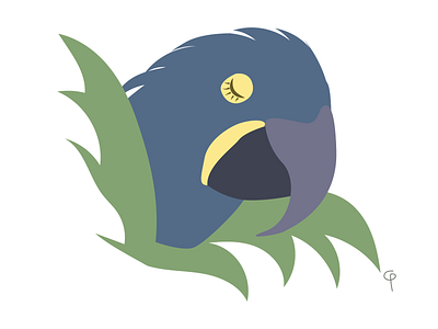 Hyacinth Macaw - Arara Azul amarelo amazon florest amazonia arara azul azul blue brasil brazil brazilian animals brazilian illustrator brazilian wildlife green hyacinth macaw illustration nature plants safari verde wild life yellow