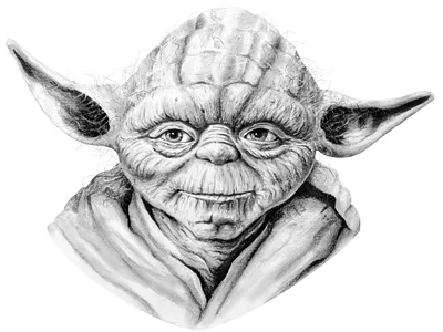 Master Yoda Pencil Drawing art arte darth vader dibujos drawing fanart graphite illustration jedi luke skywalker pencil realism shading sketch star wars yoda