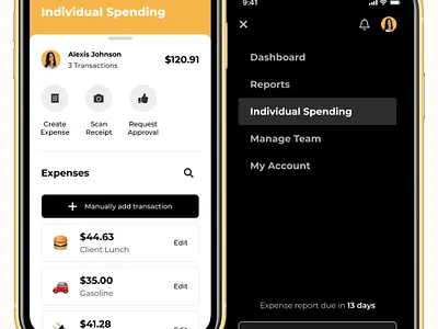 Expense Report App app concept dashboard design expense finance fintech interaction ios management menu mobile money report ui ux