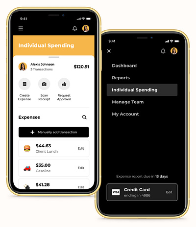 Expense Report App app concept dashboard design expense finance fintech interaction ios management menu mobile money report ui ux