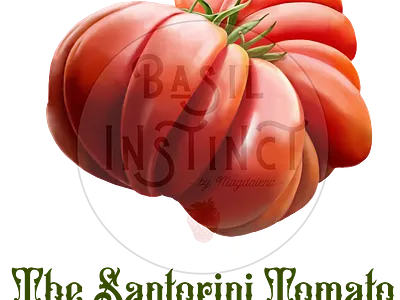Santorini Tomato food illustration food illustrator greece greek food greek vegetables santorini santorini vegetables tomato tomato art tomato painting tomatoes vegetable illustration vegetable painting