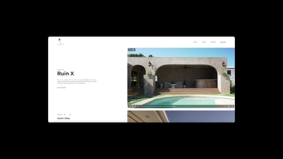 Palmy Pools Website Design branding design graphic design ux