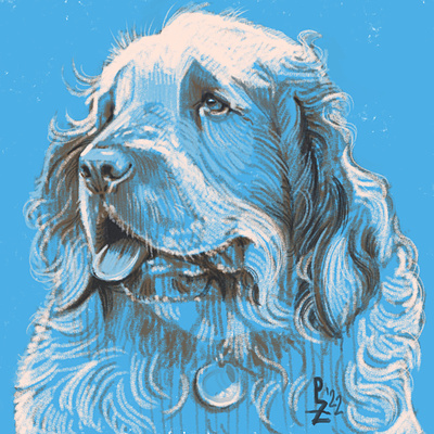 Clumber spaniel [digital sketch] digital painting dog hound illustration sketch spaniel speed paint