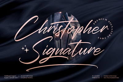 Christopher Signature Font advertising branding classy display elegant fashion font fonts lettering logo magazine minimalist modern sans serif script script font serif typeface typography unique