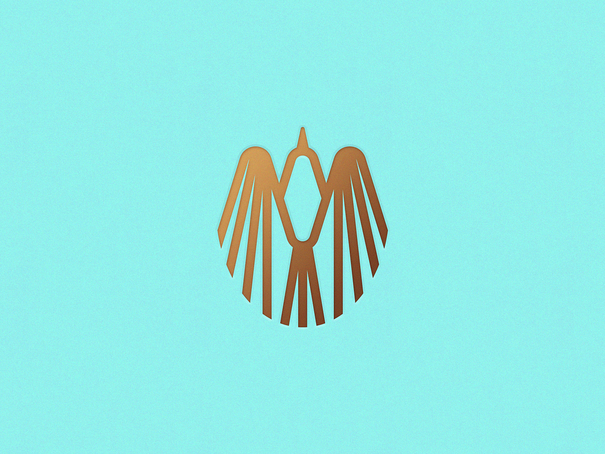 Direct Flight by Ben Stafford on Dribbble
