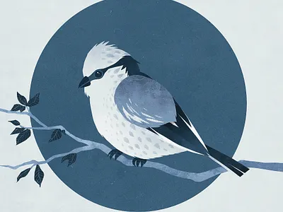 Blue Tit animal art bird digital art illustration illustrator retro