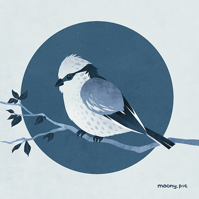 Blue Tit animal art bird digital art illustration illustrator retro
