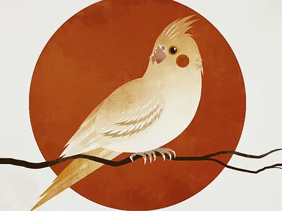 Сockatiel animal art bird digital art illustration illustrator parrot retro