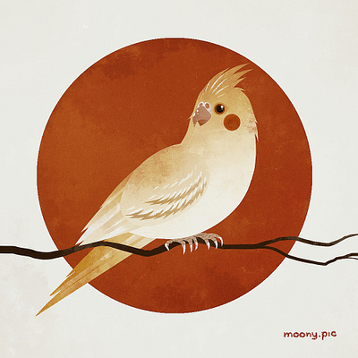 Сockatiel animal art bird digital art illustration illustrator parrot retro