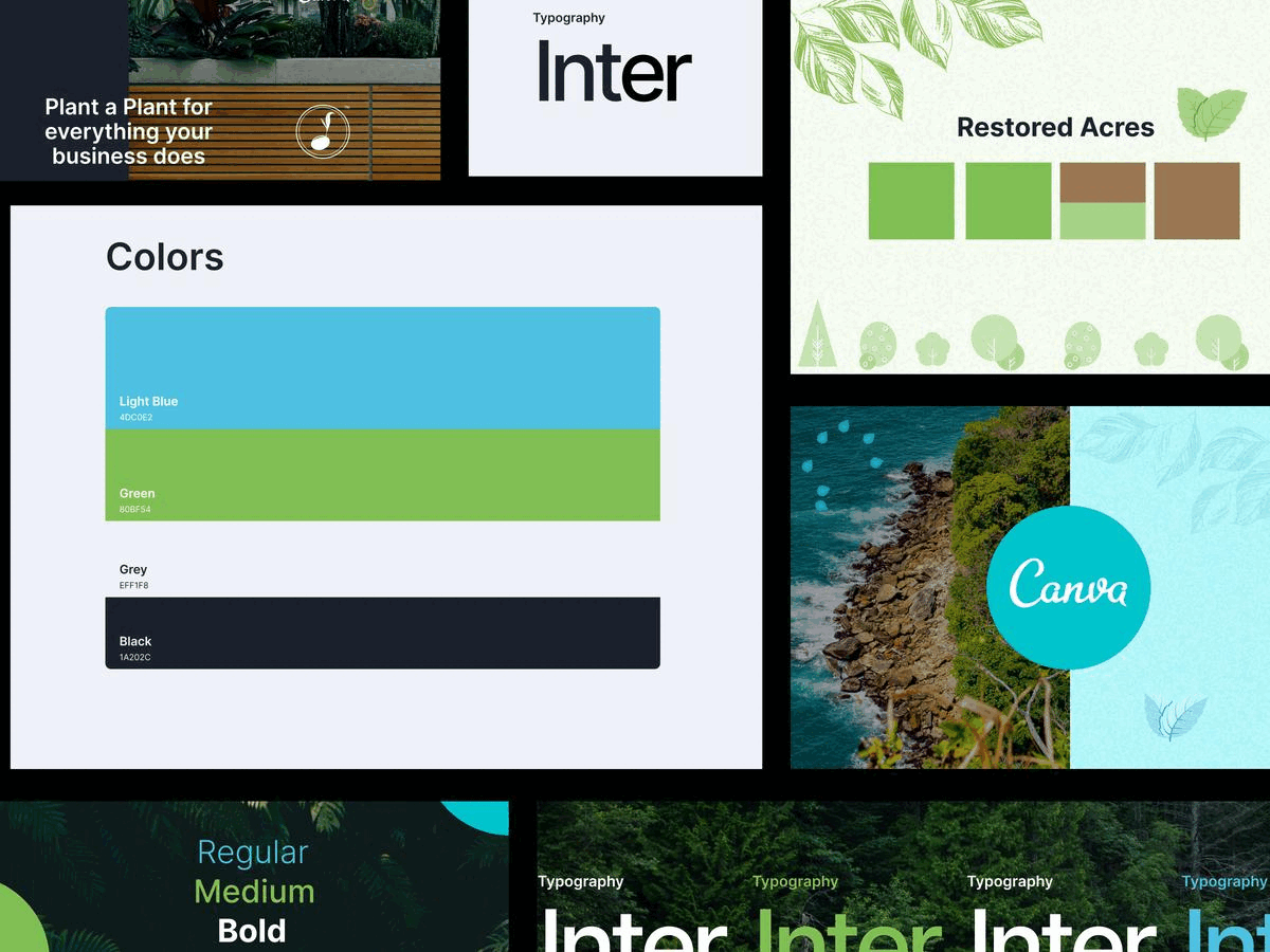 Canva - Brand Identity accessibility brand identity branding certificate csr dashboard design product trees typography ui ux webapp