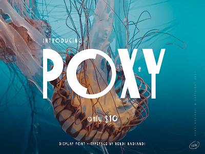 POXY display font logo modern sans