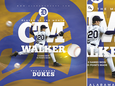 Baseball Player Feature Flyer amateur america ball bar baseball city club college flyer franchise game home run player presentation printing pro pub sports template usa