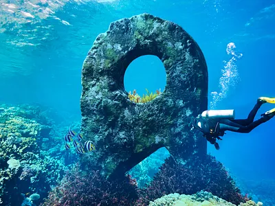 Aktivite.com Branding Visual 3d branding graphic design illustration logo