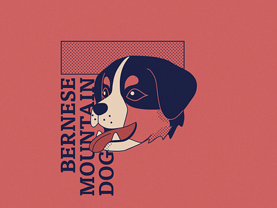 Bernese Mountain Dog - 258/365 adobe animal cartoon character comic dog dogs fresco halftone illustration illustrations illustrator pet puppy