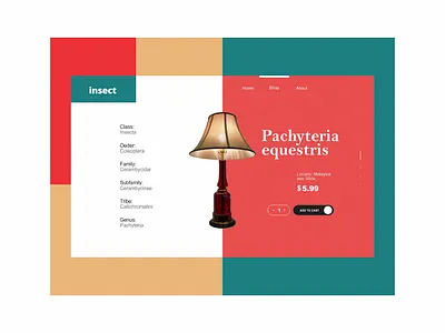 Insect UI Design branding design dribbble graphic design illustration ui ux web design