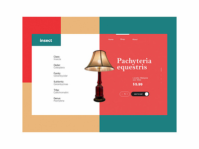 Insect UI Design branding design dribbble graphic design illustration ui ux web design