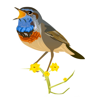 Bird Realistic Illustration illustration