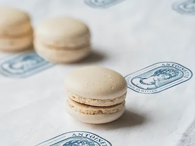 Antoinette Cake Shop bakery branding bread breakfast cake cake shop coffee coffee shop cookie engraving flour illustration label logo logotype matias funes packaging seal stationery vintage