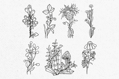Wildflowers bundle