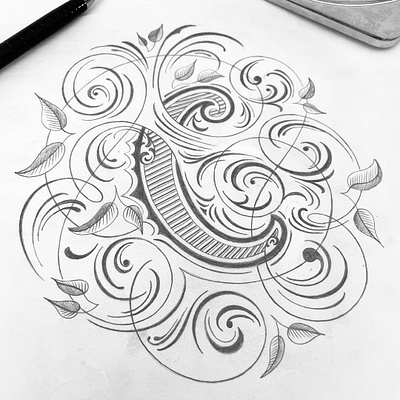 Flourished C flourishes lettering sketch