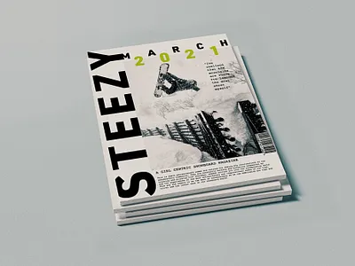 Snowboard Magazine graphic design illustrator indesign
