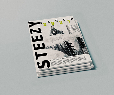 Snowboard Magazine graphic design illustrator indesign