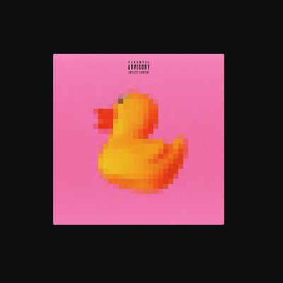 The duck album cover coverdesign design mockup music cover pixel pixelart