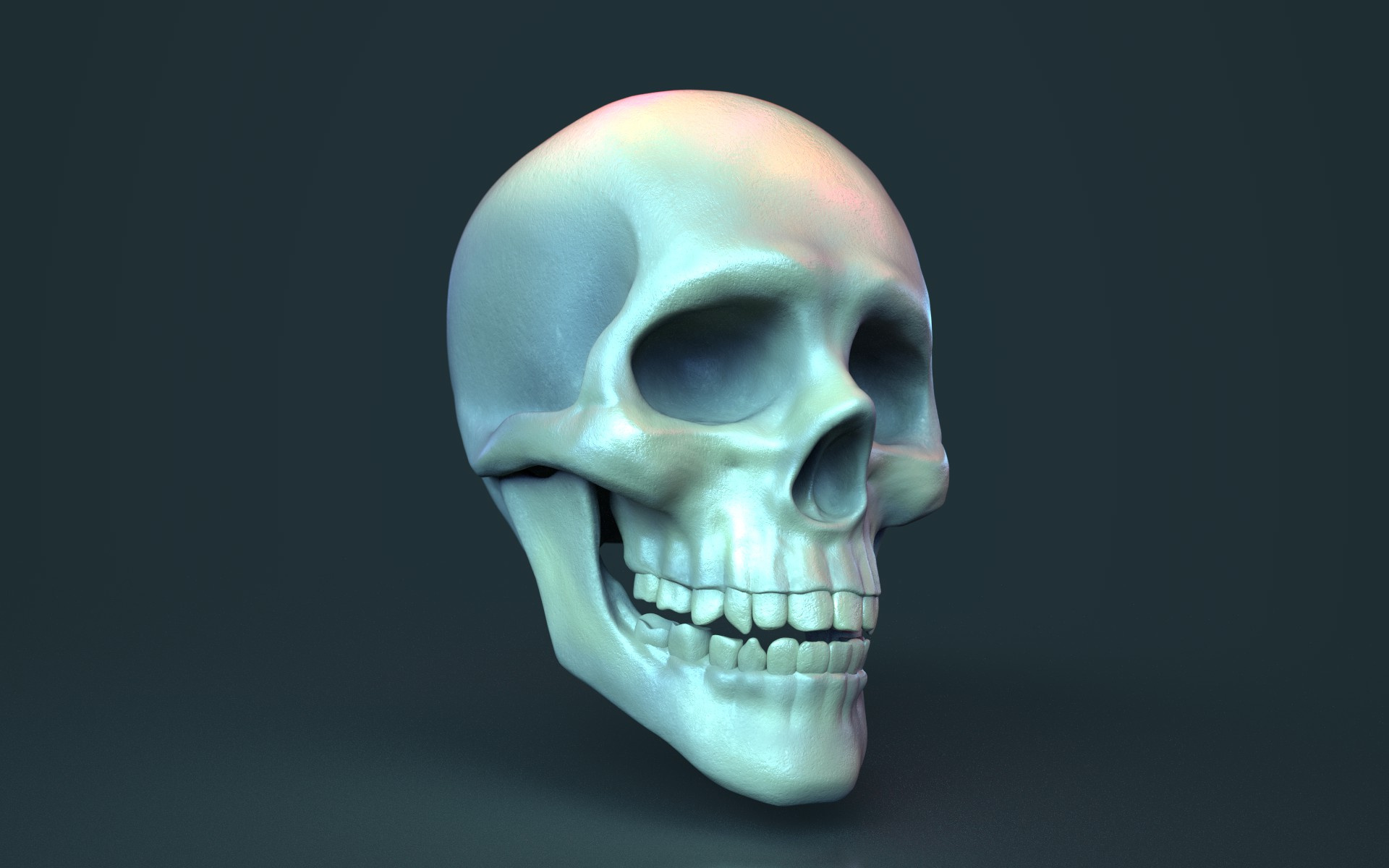 Substance Painter Test 3drender 3dsculpt nomad skull substancepainter