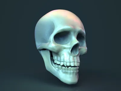Substance Painter Test 3drender 3dsculpt nomad skull substancepainter