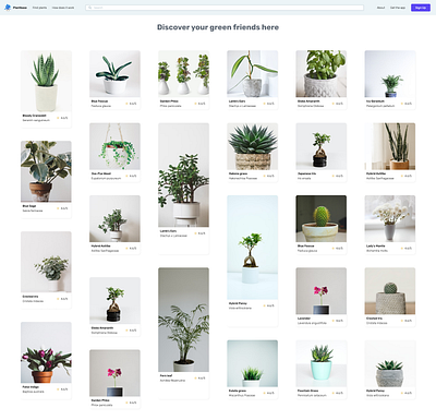 Plantbase - Online space to purchase plants auto layout autolayout ecommerce store figma online online store pablostanley plantbase plants plants store purchase ui uidesign