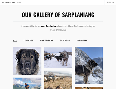 Gallery shot of Sarplaninacs.com (Part One) design gallery minimal typography ui ui design web web design