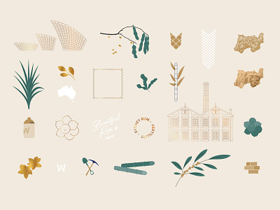 SRD illustration set australia distillery fauna flora illustration opera house rum sugar cane sydney wattle