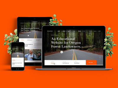 Know Your Forest - An Education Website design forest knowyourforest logo ui design ux design website