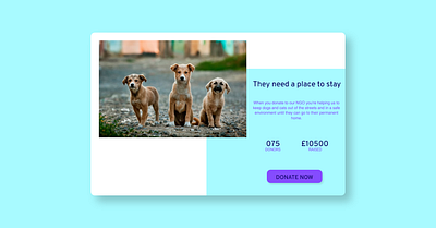 #DailyUI 032 032 crowdfunding campaign app campaign crowdfunding daily ui daily ui 032 design figma graphic design illustration kennel ui ux