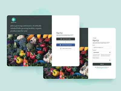Web Sign Up dailyui ui ui design web design