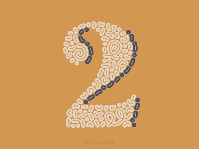 2 36daysoftype 36daysoftype2021 color combination color material color palette digital illustration illustration khaki leather letter serif vector