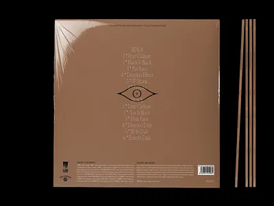 LP cover - Fear Culture branding cd cover music vinyl visual identity