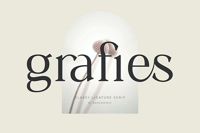 Grafies - Classy Ligature Serif Font beautiful calligraphy classy design display elegant fashion font fonts invitation lettering ligatures logo luxury magazine modern sans serif serif typography wedding