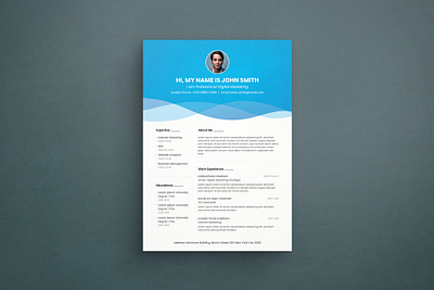 Professional CV 3d animation branding clean cover letter cv design cv template design graphic design illustration logo motion graphics professional resume resume design resume template ui