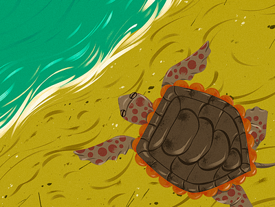 Turtle on the beach animal animation background child childrens book conceptart digital 2d digitalart digitalpainting illustration wild
