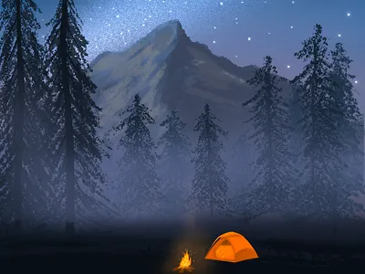 Silent Reverie art calm camping designs digital art drawing escape forest illustration lake nature night painting procreate stars