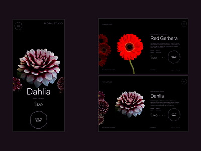 Floral Studio website beauty brand clean design editorial fashion flora floral flowers magazine studio ui website