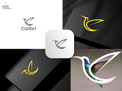 Colibri Logo bird branding corporate branding design grid illustration line logo vector