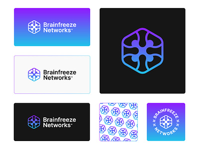 Brainfreeze Networks logo brain logo branding design dice logo graphic design hexagon logo logo logo design logo designer logo mark minimalist tech logo